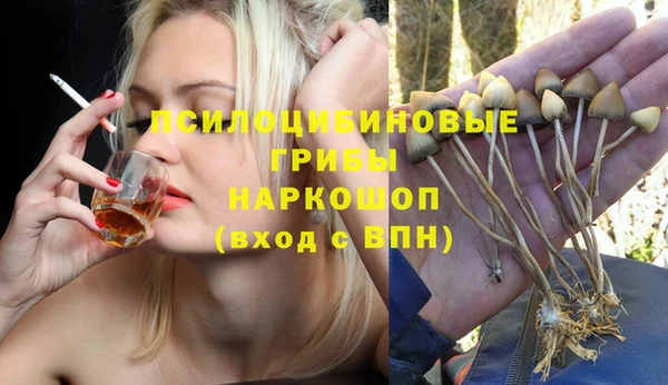 Альфа ПВП Остров