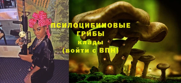 кристаллы Абаза
