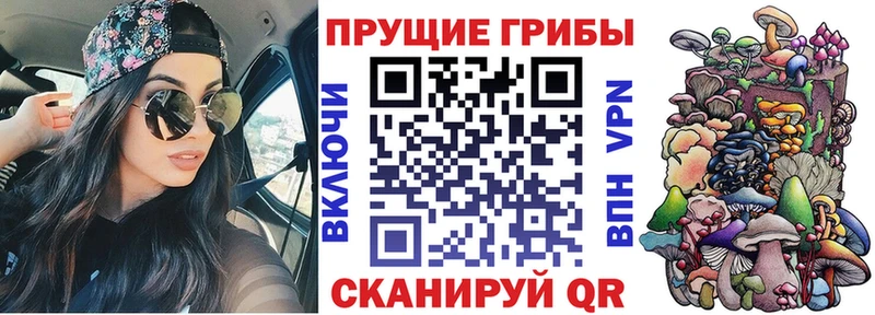 Псилоцибиновые грибы Cubensis Чекалин